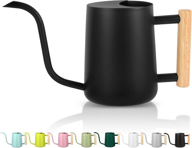 GUKJOB Plant Watering Can,35oz Metal Watering Can,Stainless Steel Indoor Plants with Long Curved Spout,Small Bonsai Outdoor Garden Modern Decorative(Black) - Image 1